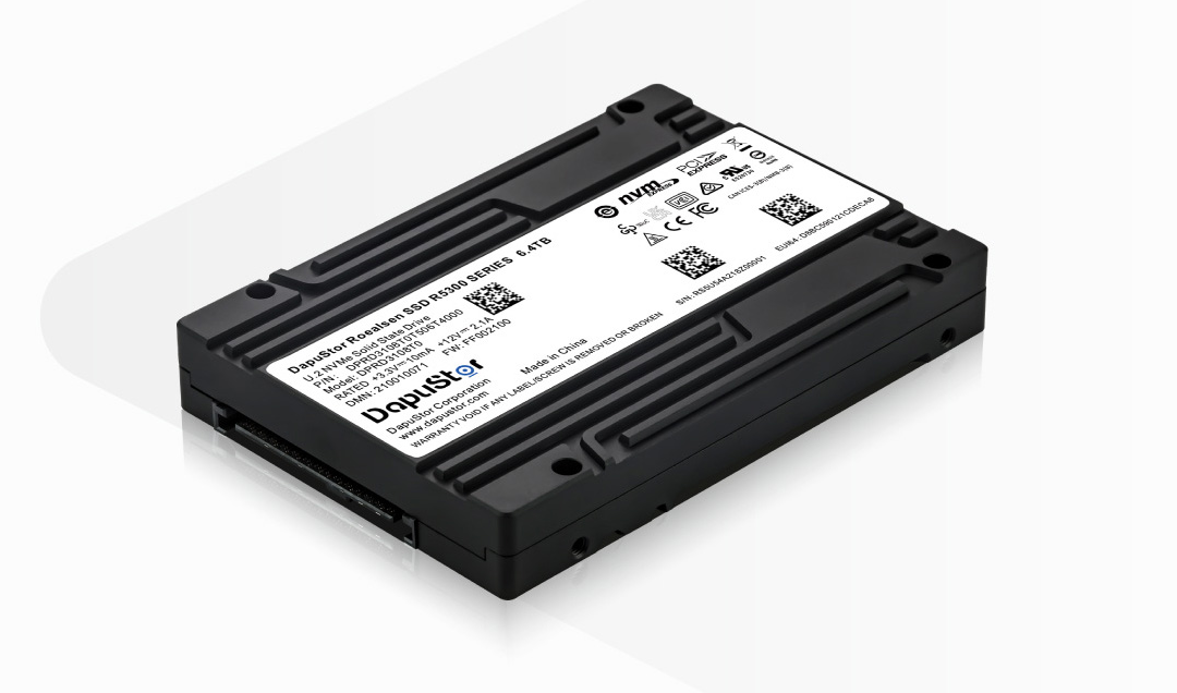 DapuStor? 嶸神Roealsen?R530X系列SSD