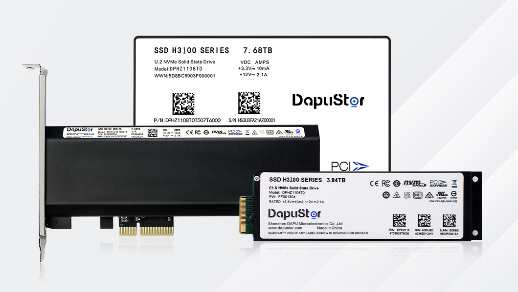 DapuStor?海神Haishen3 H3100系列SSD DapuStor?海神Haishen3 H3100系列SSD
